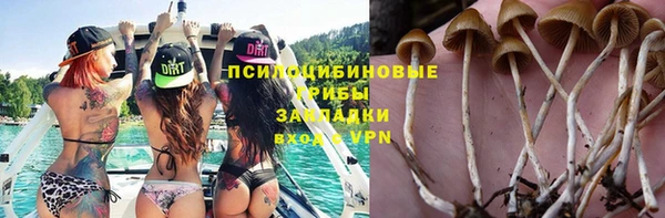 бутират Белокуриха